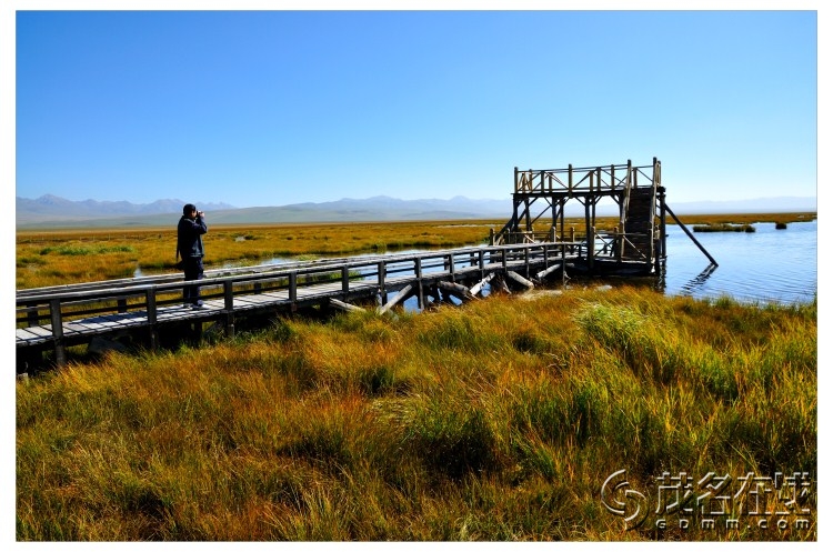端午四川旅游好去处,若尔盖大草原摄影,九曲看