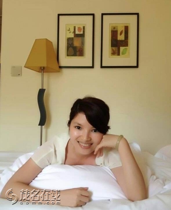 百般掩饰的意思