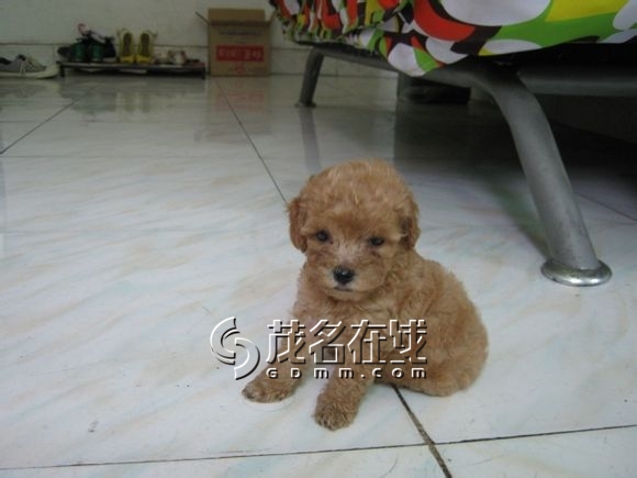 143617mm4b4fr44gi1iffi.jpg