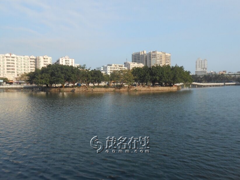 185752gp7bsmbc6kh7bc8b.jpg
