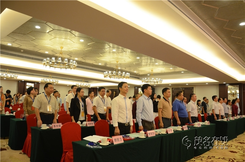 陈国波当选茂名市茂南区青年创业联合会首届会长