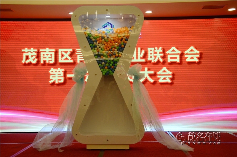陈国波当选茂名市茂南区青年创业联合会首届会长