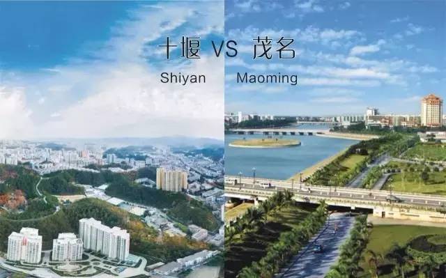 为茂名加油,投票免费送英语口语测试及纪念品