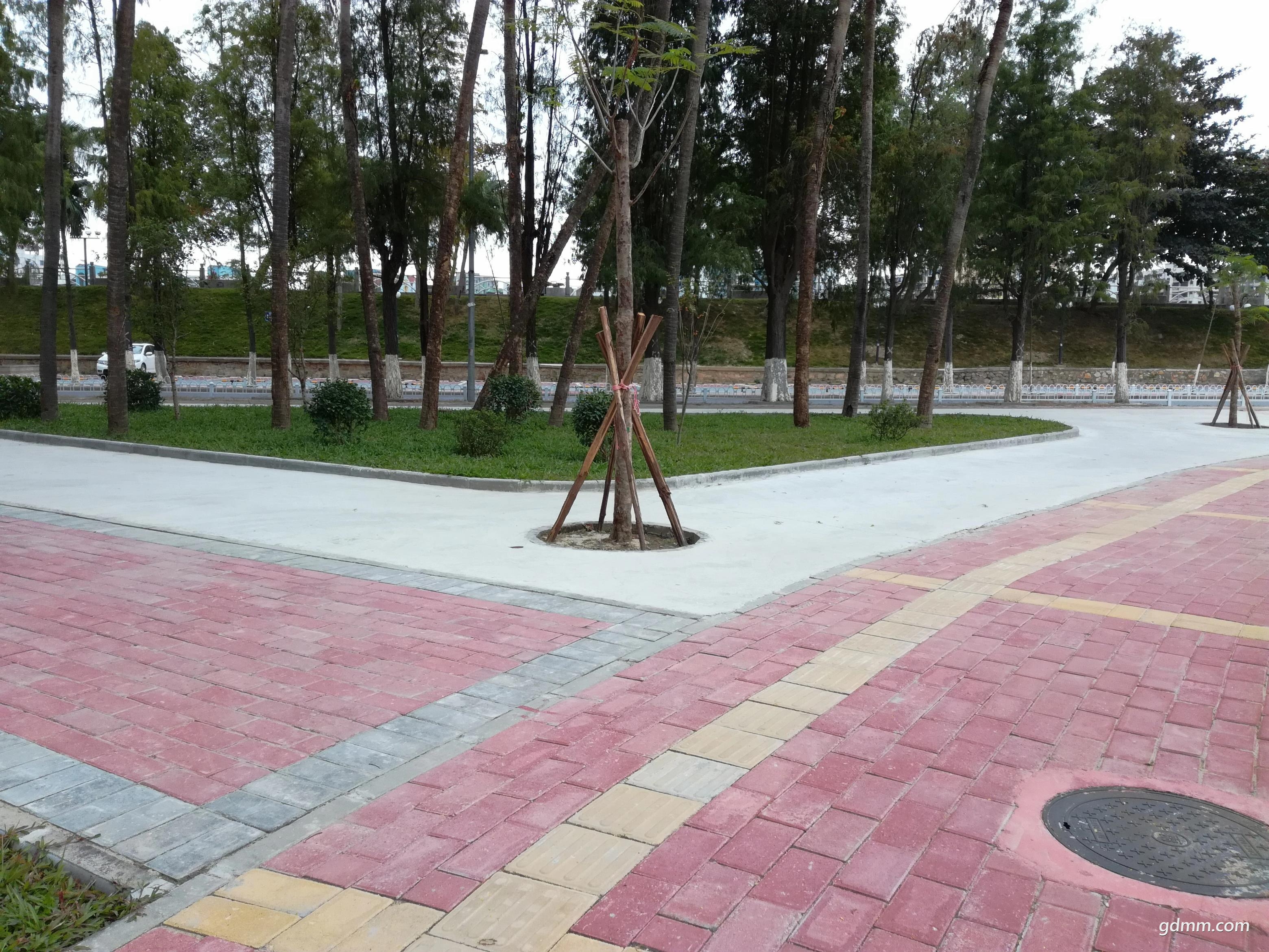 IMG_20171216_111155(75%).jpg