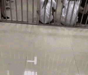 20200531_3337901_1590885583124.gif