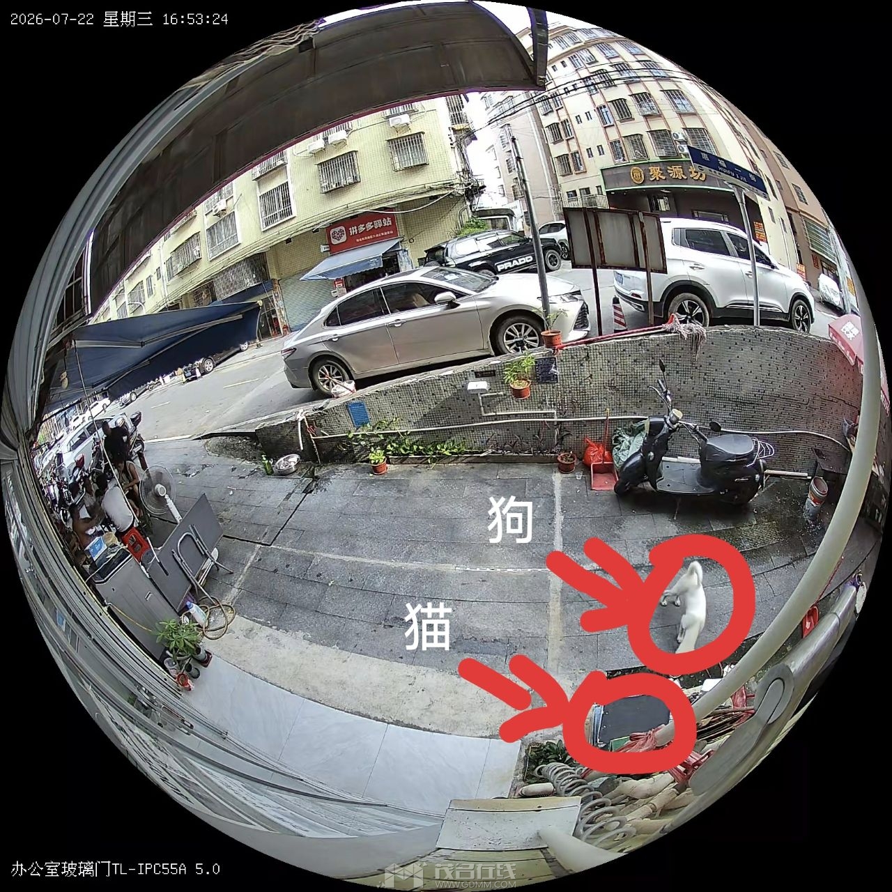 20260722170741front2_0_3298584_FjSTgfUQ8ZiMN25N1Lup43cAP_E2.jpg