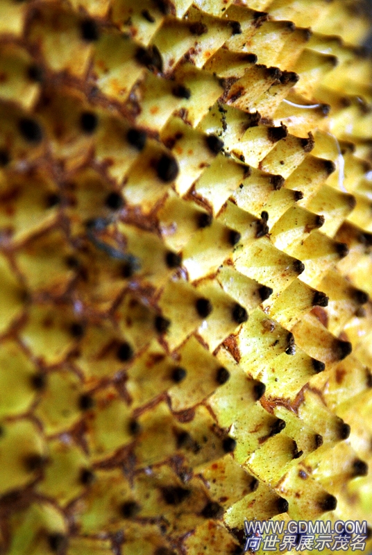 0909271037ff437644fce6480e.jpg