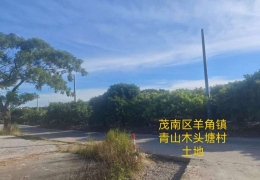 ǿ���ڿ������߸˺Ϸ���
