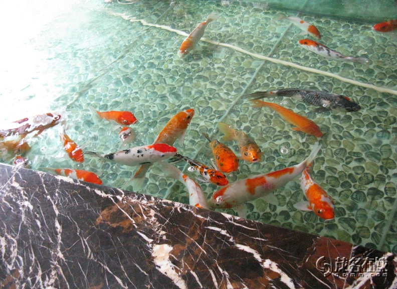 Ƭ 022.jpg