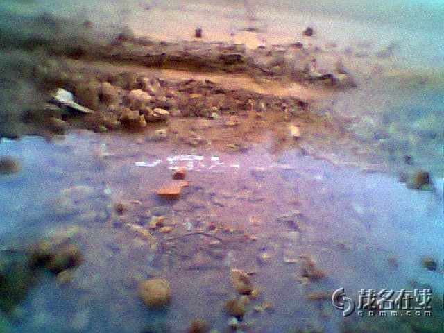 Ƭ0292.jpg