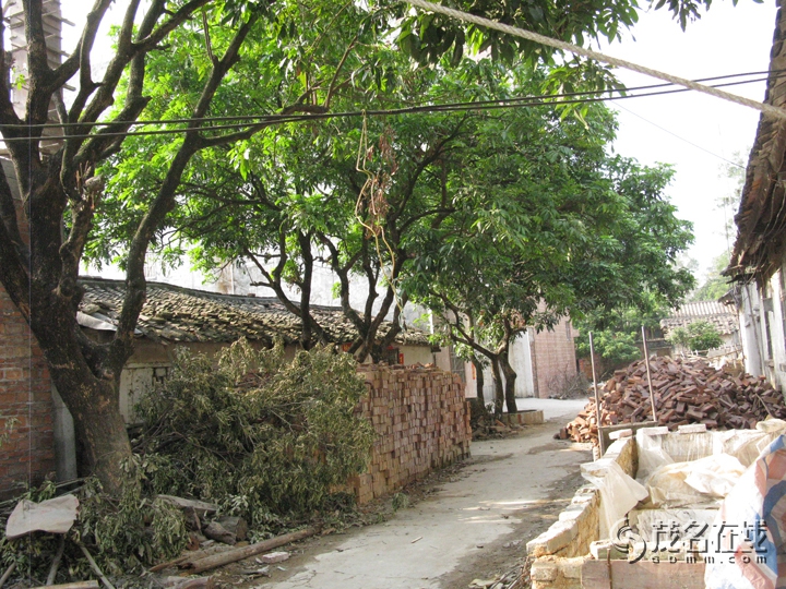 Ƭ 065.jpg