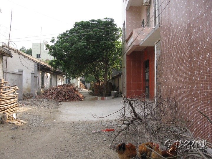 Ƭ 070.jpg