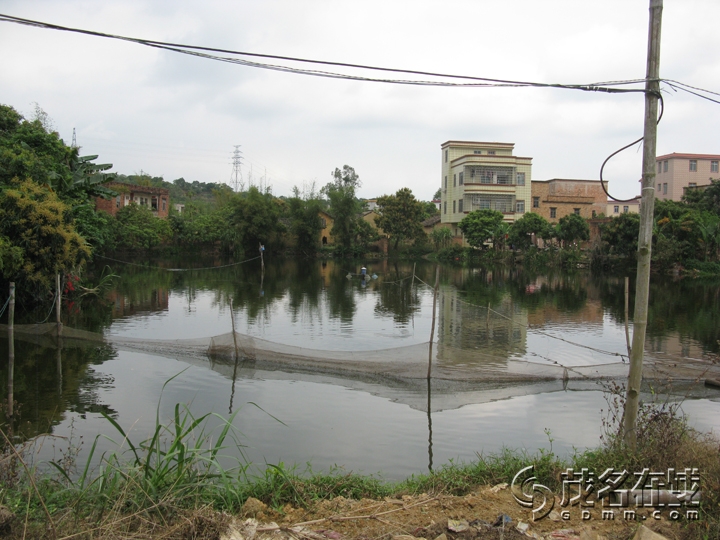 Ƭ 039.jpg