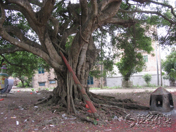 Ƭ 064.jpg