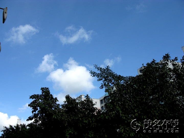 Ƭ 016.jpg