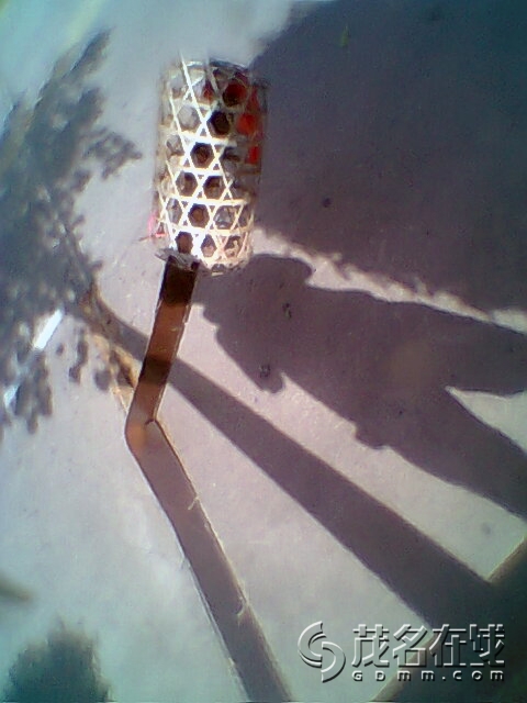 Ƭ0311.jpg