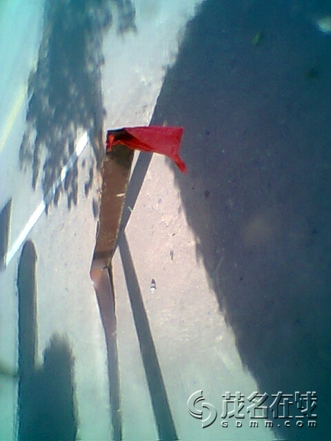 Ƭ0306.jpg