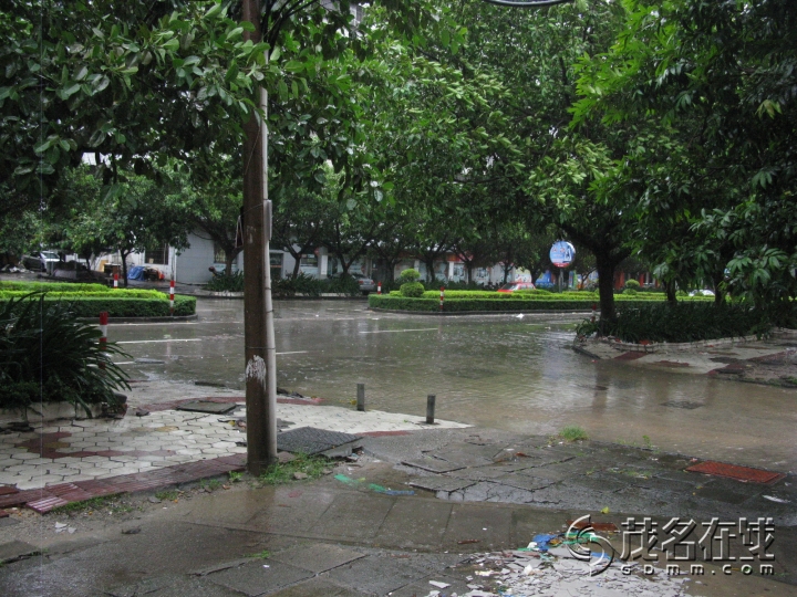 Ƭ 001.jpg