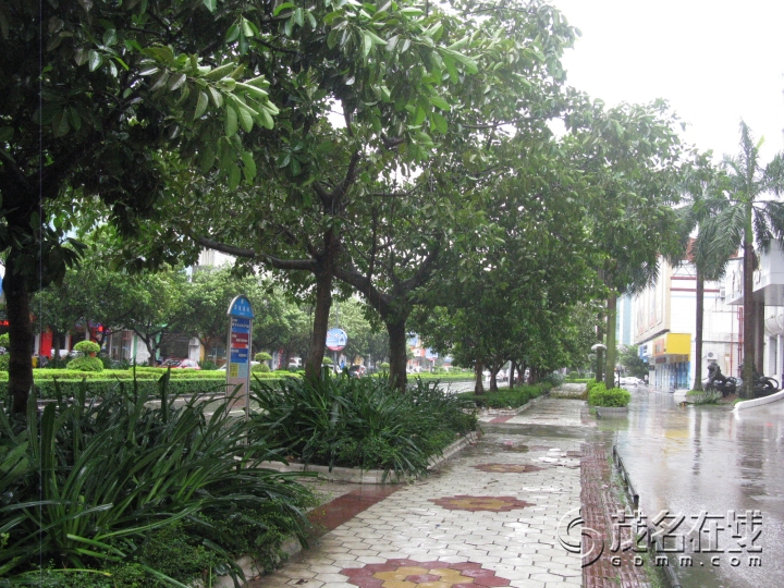 Ƭ 006.jpg