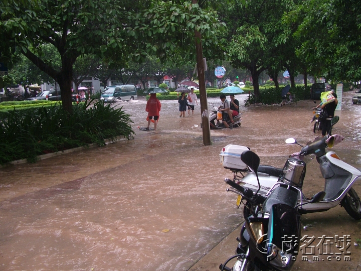 DSCF3954.jpg