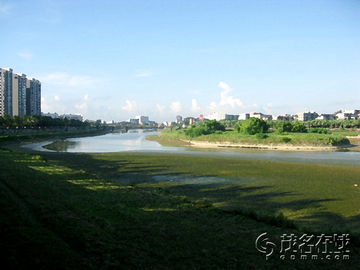 Ƭ 040.jpg