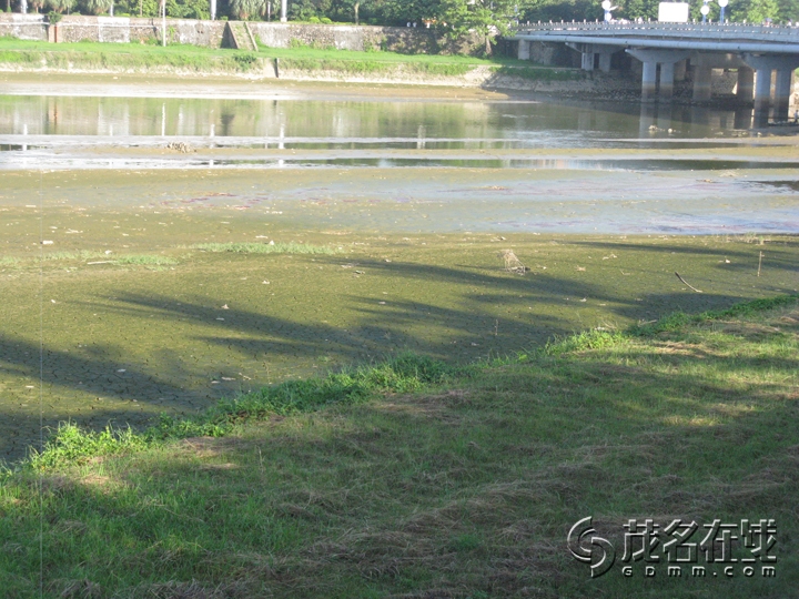 Ƭ 044.jpg