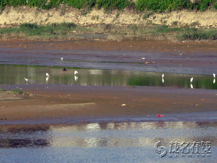 Ƭ 052.jpg