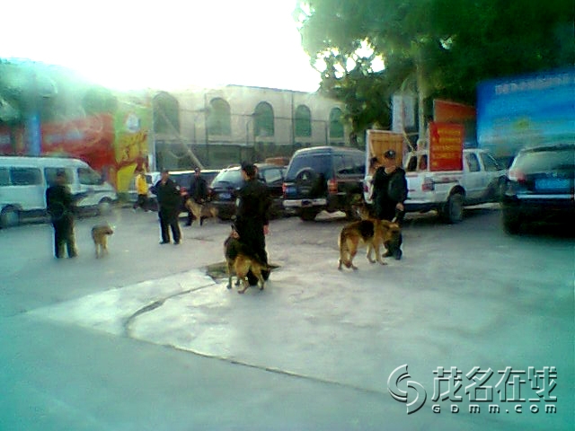 Ƭ0318.jpg