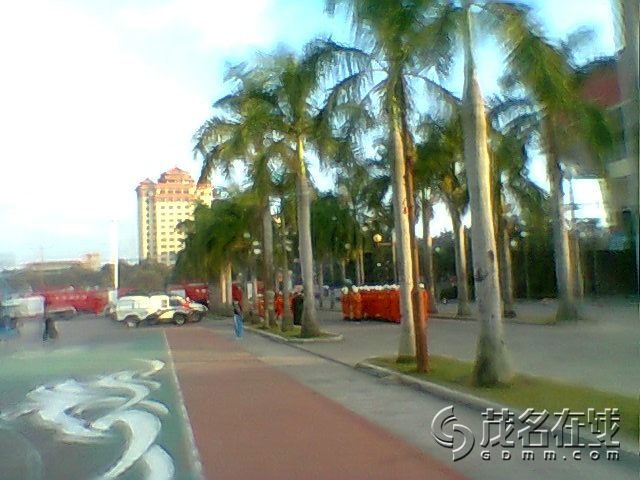 Ƭ0319.jpg