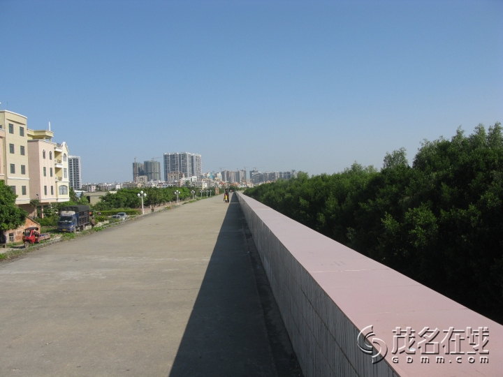 Ƭ 021.jpg