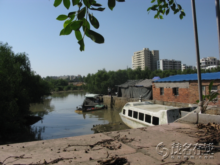 Ƭ 080.jpg