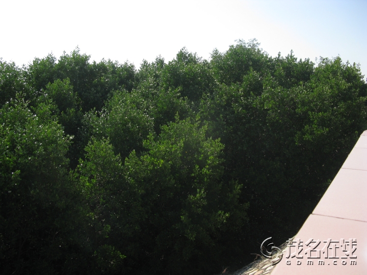Ƭ 018.jpg