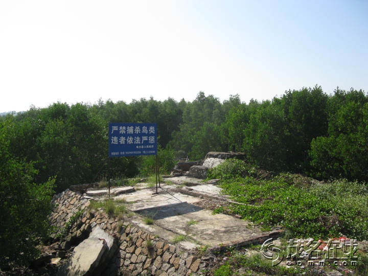 Ƭ 050.jpg