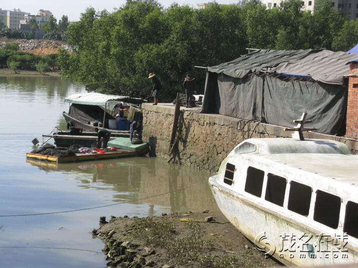 Ƭ 081.jpg