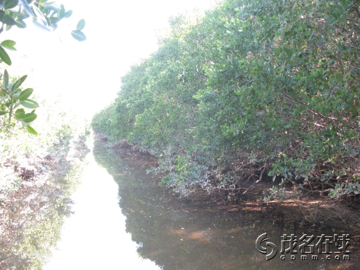 Ƭ 029.jpg