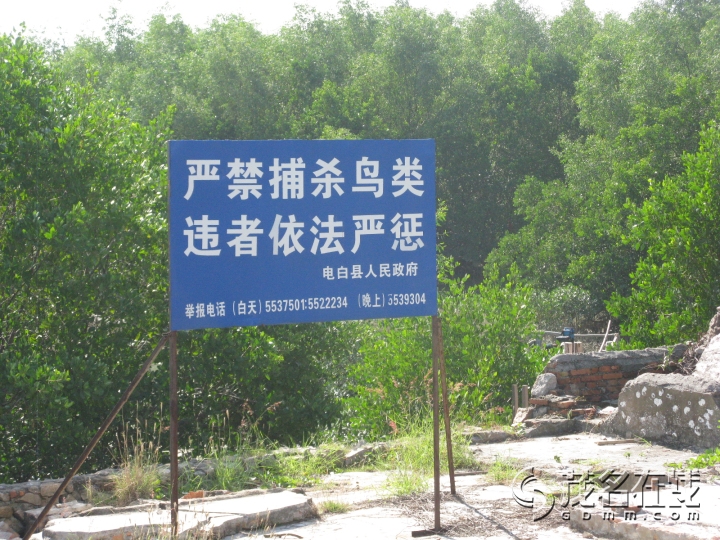 Ƭ 051.jpg
