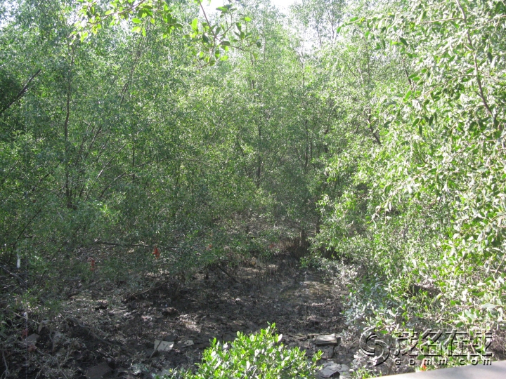 Ƭ 077.jpg