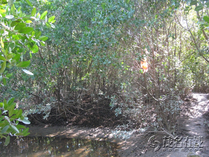 Ƭ 028.jpg