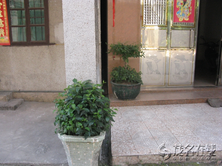 Ƭ 094.jpg