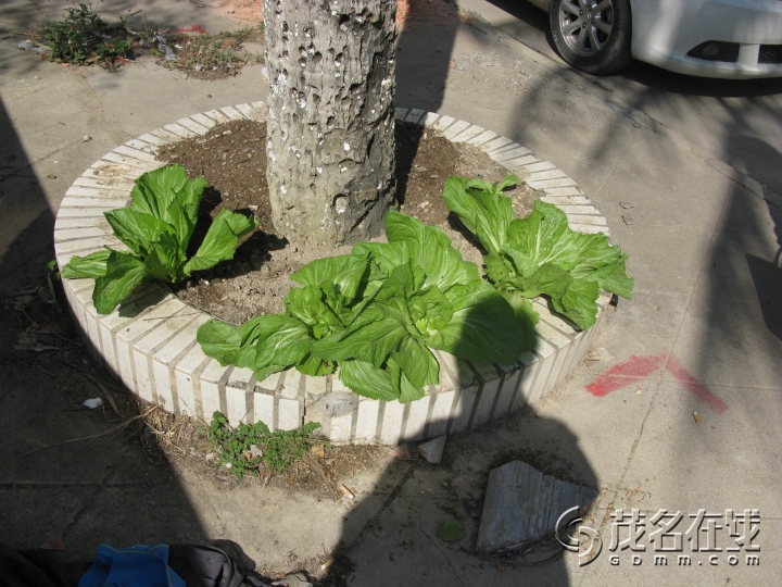 Ƭ 076.jpg