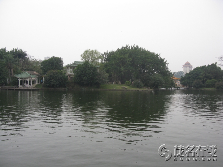 IMG_6732.jpg