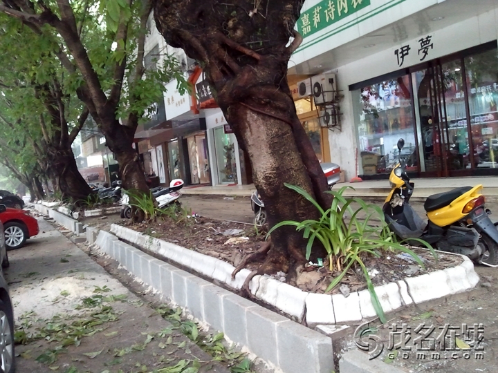WP_000275.jpg