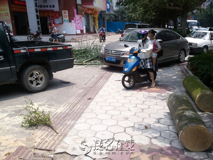 WP_000667.jpg