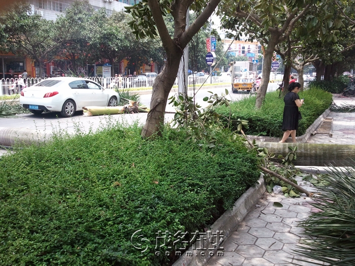 WP_000665.jpg