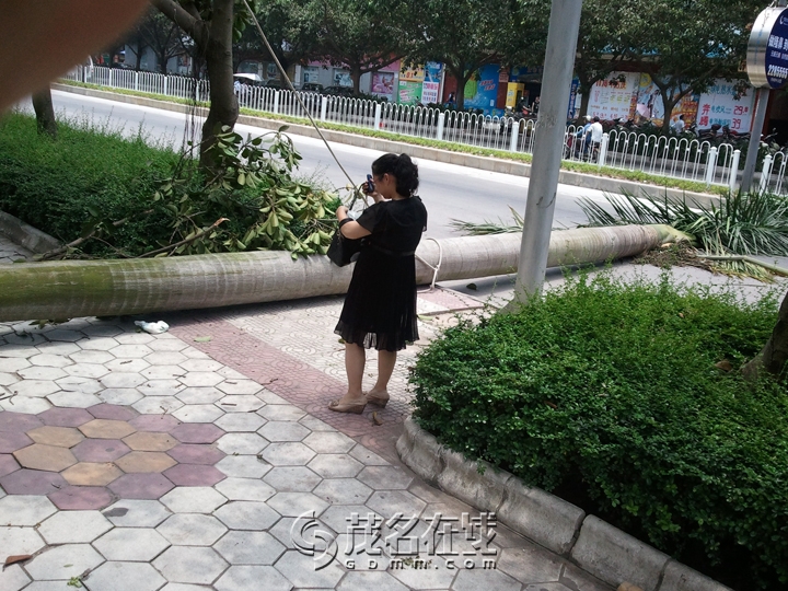 WP_000661.jpg