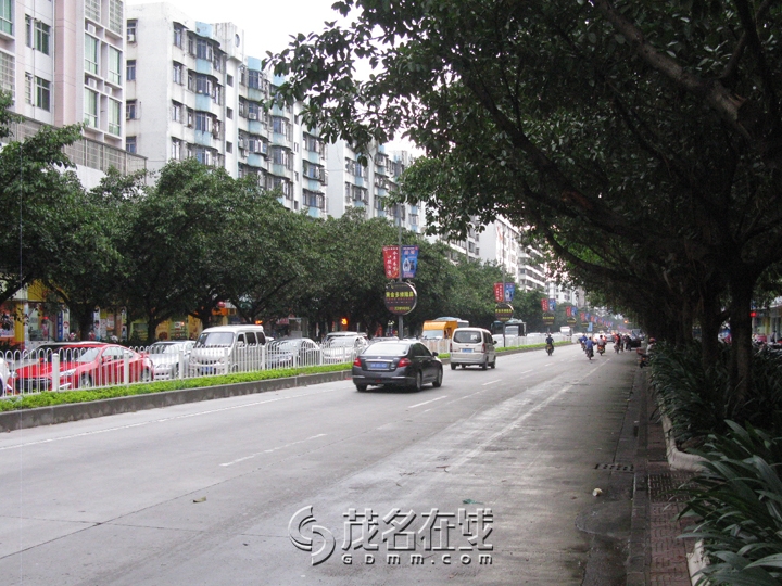 Ƭ 009.jpg