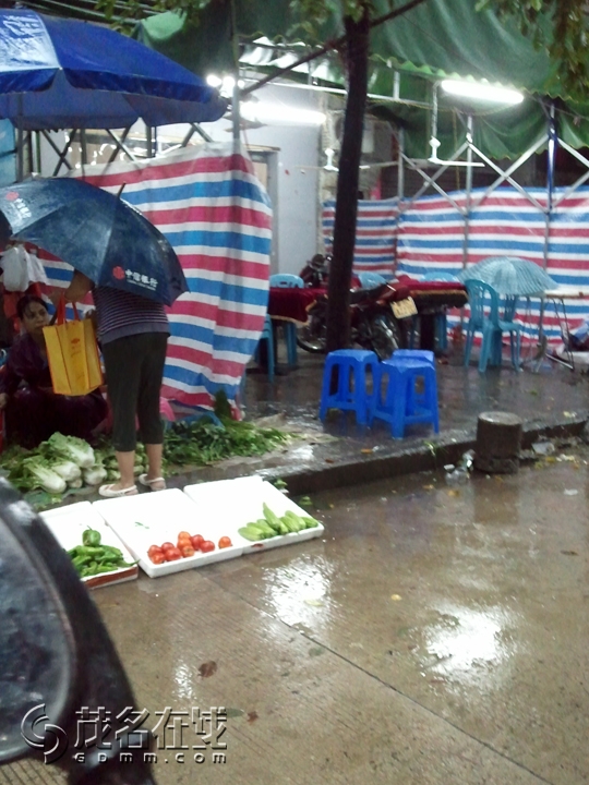WP_001240.jpg