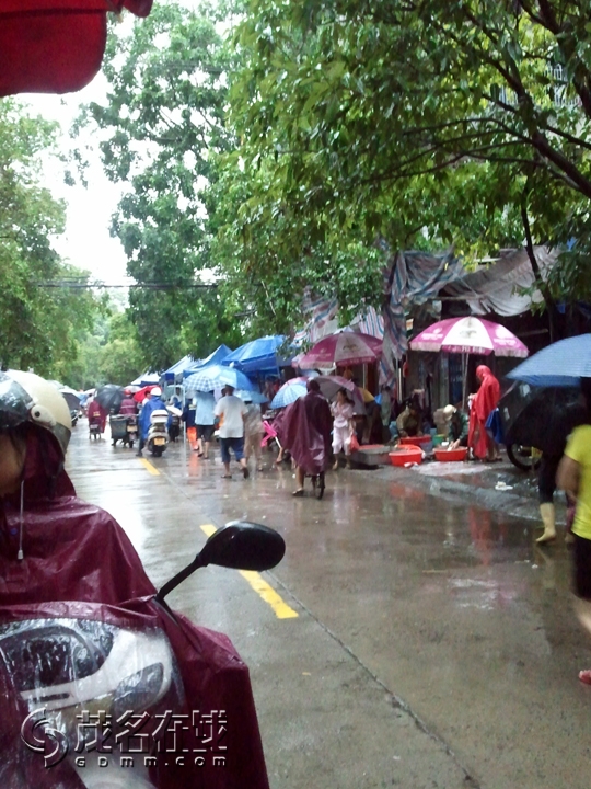 WP_001234.jpg