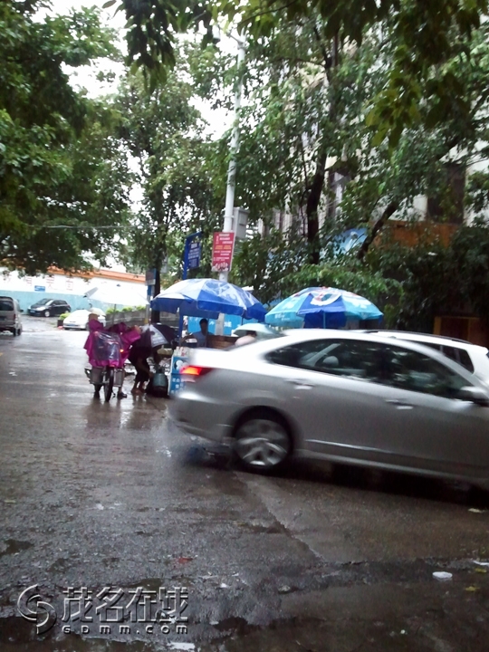 WP_001235.jpg