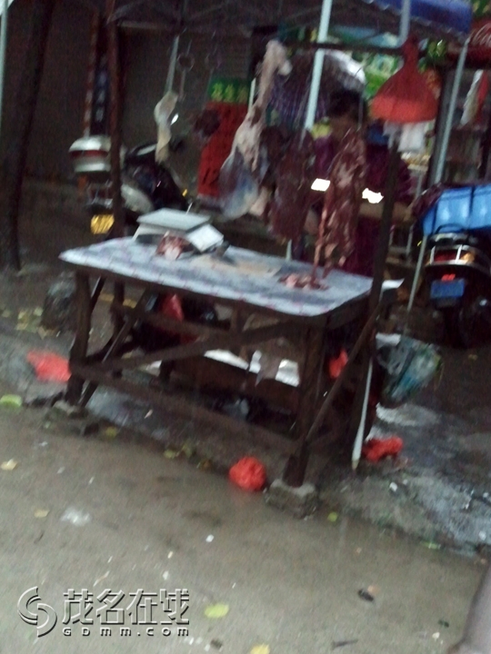 WP_001238.jpg